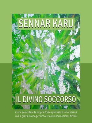 cover image of Il divino soccorso